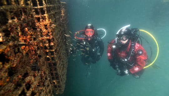 Coral Reef Conservation